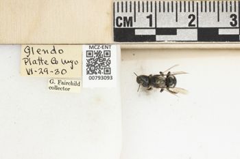 Media type: image;   Entomology 793093 Aspect: Labels
